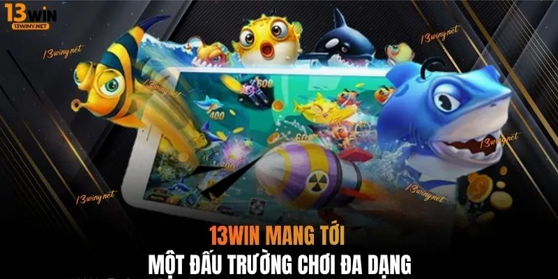 13WIN mang tới một đấu trường chơi đa dạng